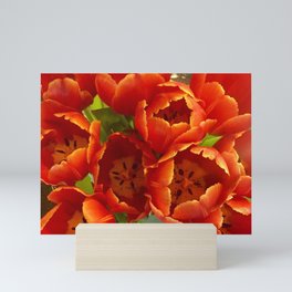 Red Tulips Mini Art Print