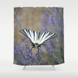 Stunning Swallowtail On Lavender Spike Photograph Shower Curtain