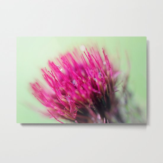 Star Burst Metal Print