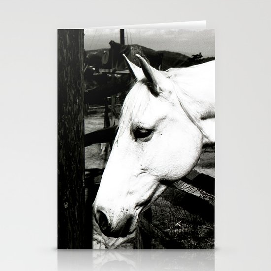 white horse Stationery Cards
