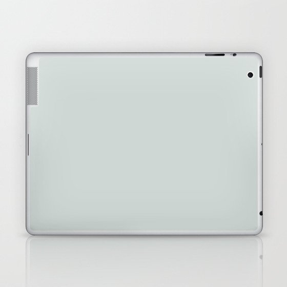 Serenely Gray Laptop & iPad Skin