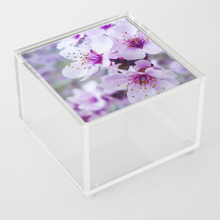 Spring Blossoms Acrylic Box