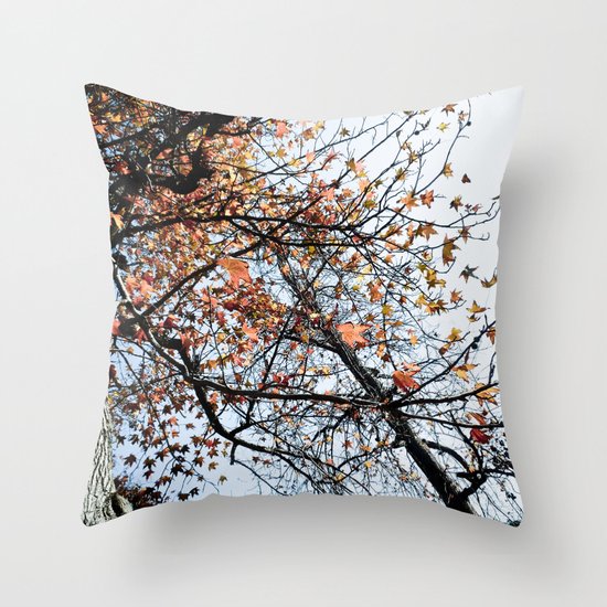 Fall II Throw Pillow