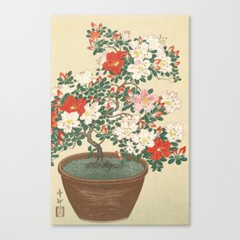 Azaleas Japanese Woodblock Print Canvas Print