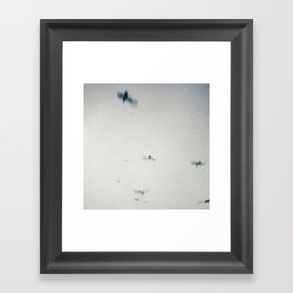 Swift Birds of Passage Framed Art Print