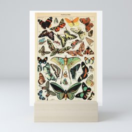 Papillon I Vintage French Butterfly Charts by Adolphe Millot Mini Art Print