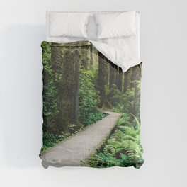Forest Boardwalk - Redwood National Park Hiking Comforter