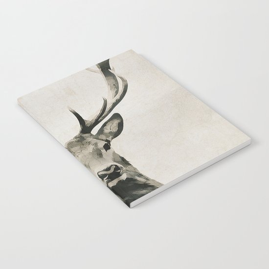DEER Notebook