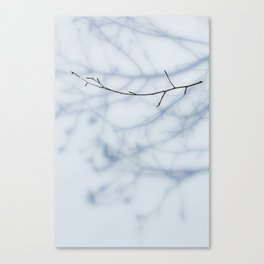 Branched Divinity Canvas Print