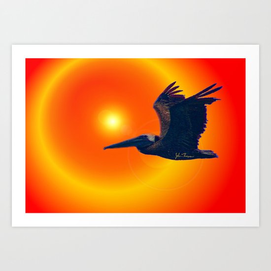 Sunset Pelican Art Print