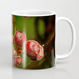 Alien Spores Coffee Mug | Evergreen, Botanical, Acorntree, Chileanwinepalm, Photo, Argentina, Deadmoroz, Nature, Cryptocaryaalba, Prehistorictree 