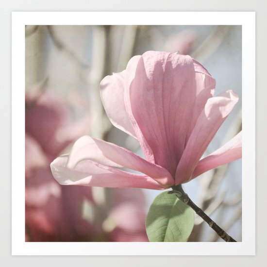 Socializing Art Print