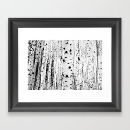 Black and White Aspen Trees Framed Art Print