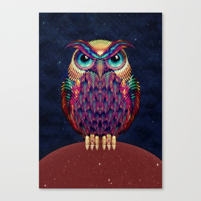 OWL 2 Canvas Print