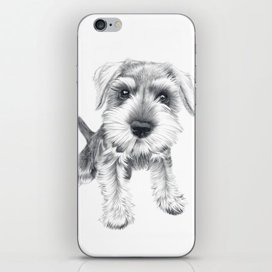 Schnozz the Schnauzer iPhone & iPod Skin