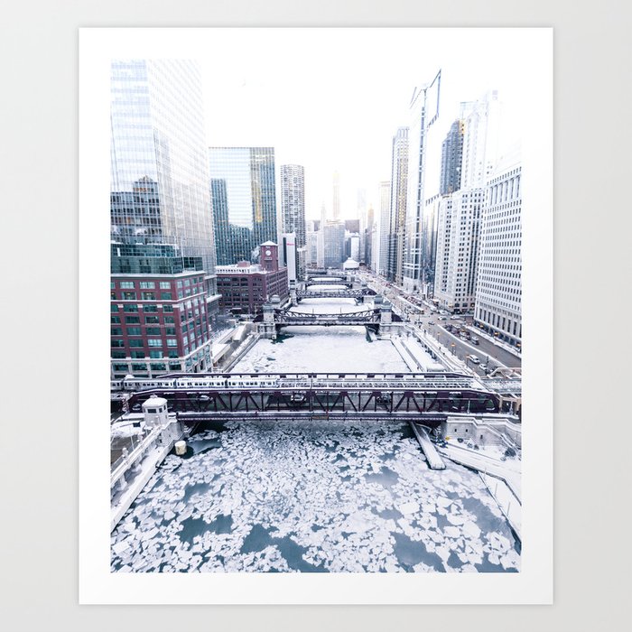 Winter White Art Print