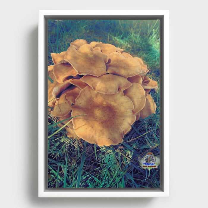 Honey Mushroom Colony Framed Canvas