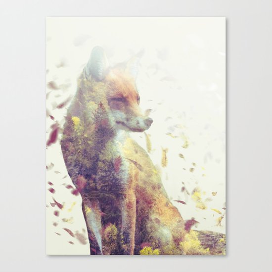 Fall Fox Canvas Print
