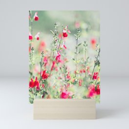 Flowering Autumn Sage Mini Art Print