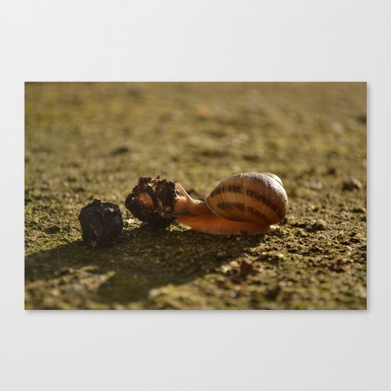 Fast Food Canvas Print
