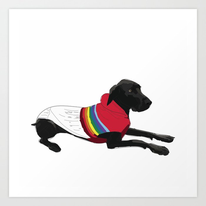 great dane sweaters for dogs