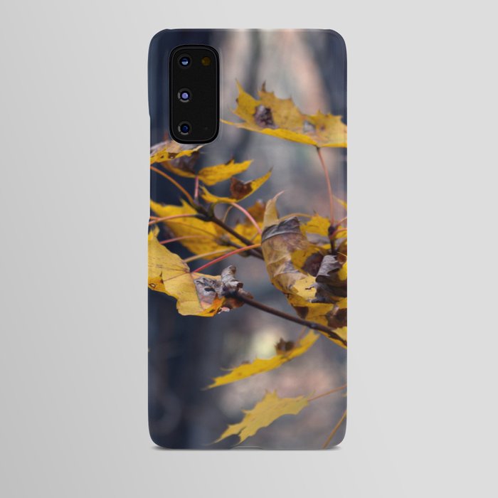 Maple leaves, early winter - Forest Park Collection Android Case