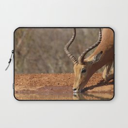 South Africa Photography - An Impala Drinking Water From A Lake Laptop Sleeve