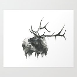 Bugle of an Elk Art Print