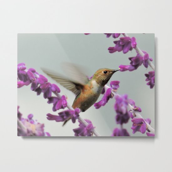 Slipping in for Another Sip Metal Print