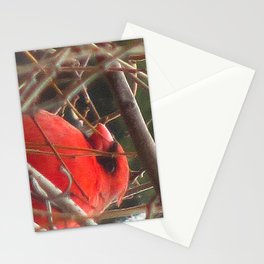 Chilly Cardinal 2 Stationery Cards