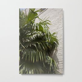 Palms Metal Print