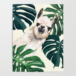 Sneaky Llama with Monstera Poster