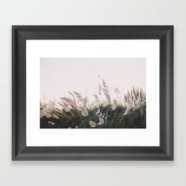 Pampas reeds grass beach Framed Art Print