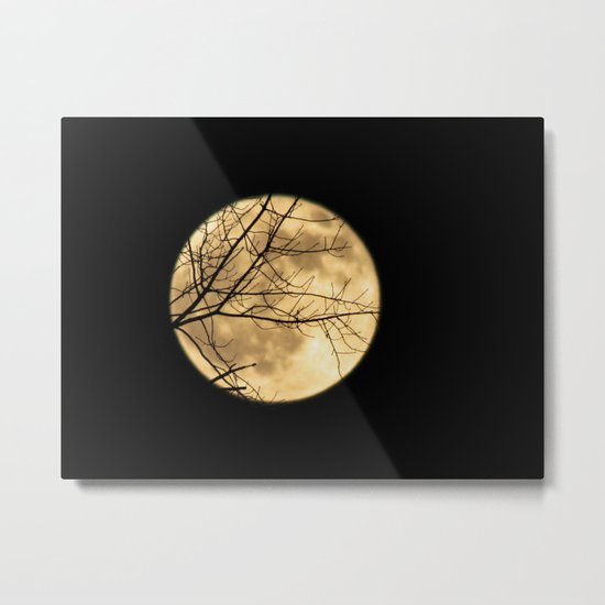 Shadows on the Moon Metal Print