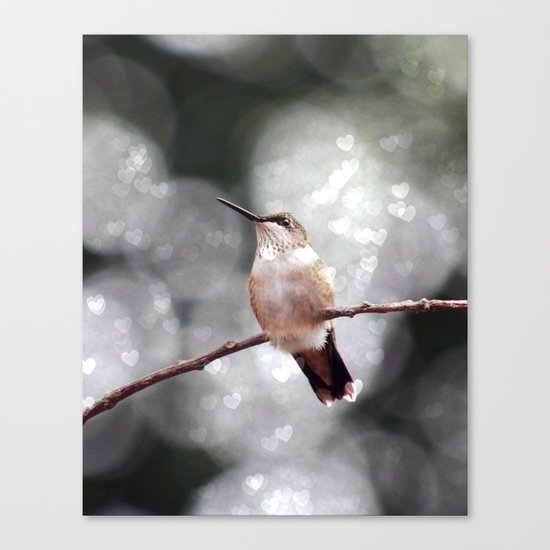 Hummingbird LOVE Canvas Print
