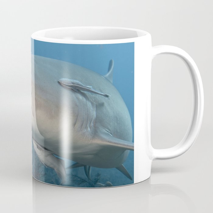 Have You Seen My Fish?  Coffee Mug