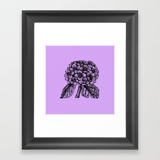 Lavender Hydrangea Framed Art Print