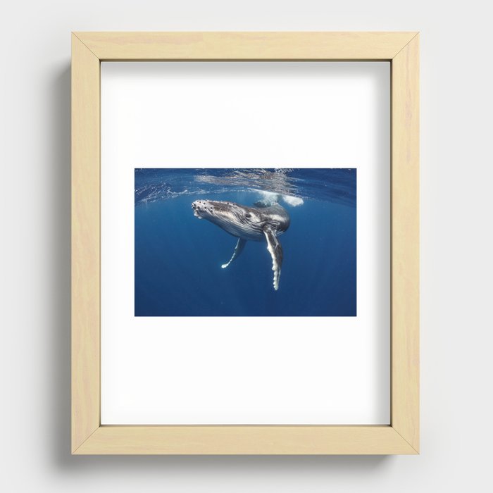 whale in the blue sea Recessed Framed Print