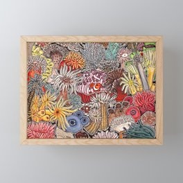 Clown fish and Sea anemones Framed Mini Art Print