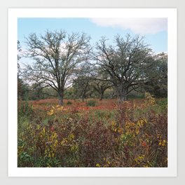 Trees in the Meadow Art Print