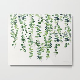 Eucalyptus Garland  Metal Print | Floral, Watercolor, Plant, Painting, Hanging, Drop, Horizontal, Eucalyptus, Evergreen, Spring 