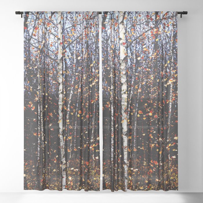 White Birch Tree Bright Gold Red Fall Leaves Landscape Pastel Texture Pattern Sheer Curtain