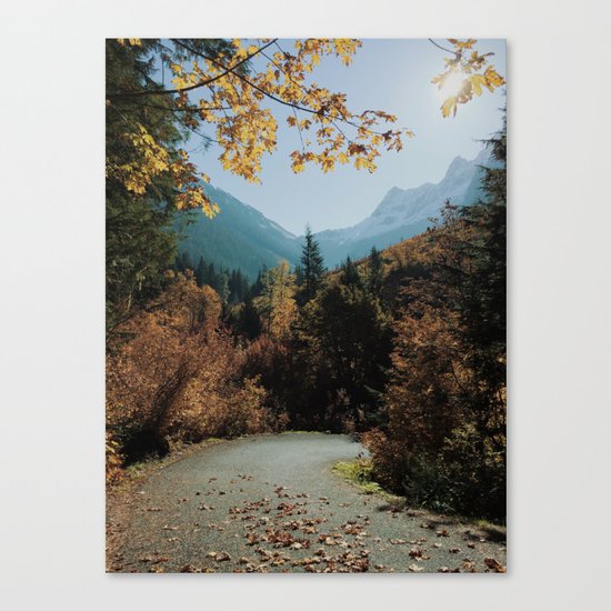 Washington Fall Rd Canvas Print