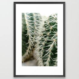 Cuddling cacti - 7 Framed Art Print