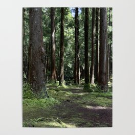 Floresta Terceira Poster