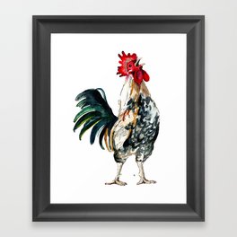 Rooster Framed Art Print