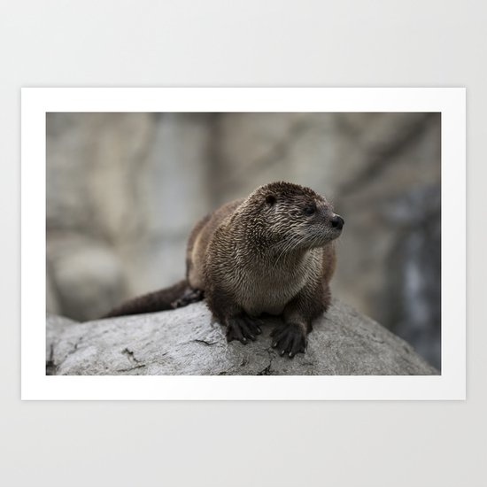 Doin' What He Otter Art Print