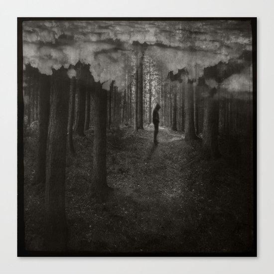 transient thoughts Canvas Print