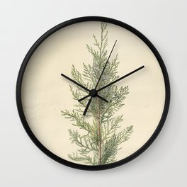 Botanical Juniper Wall Clock
