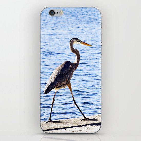 Blue Heron Strut iPhone & iPod Skin
